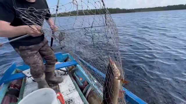 Поймал язя смотреть онлайн