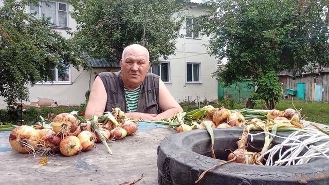 ВСЯ ПОПА В МЫЛЕ,И ПАЛЬЦЫ В МОЗОЛЯХ, ЕСТЬ ЧЕМ ПОХВАЛИТЬСЯ смотреть онлайн