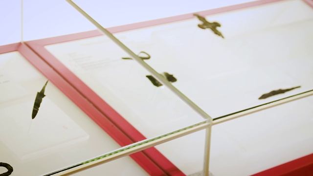 Интервью с музейным хранителем