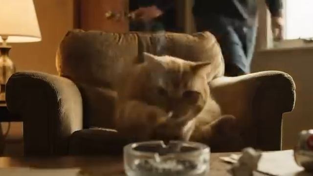 Если у вас бывает накурено в квартире, то вы знаете кого винить 😄