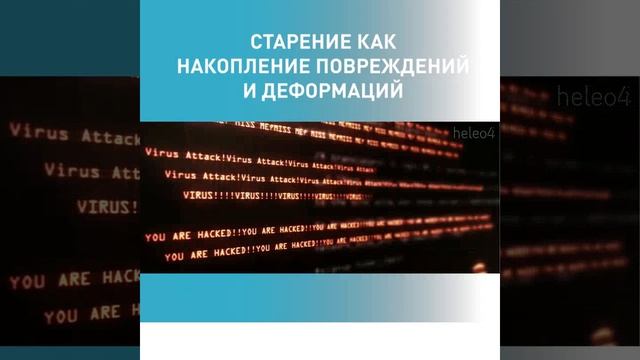 Старение как накопление повреждений и деформаций. Heleo4