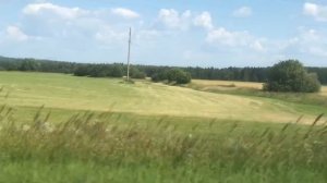 Мопеды сериал | Серия 1256