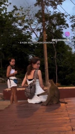 А как вы познакомились #shorts