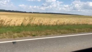 Мопеды сериал | Серия 1301