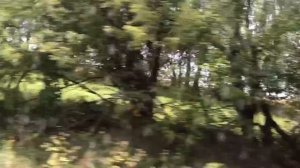 Мопеды сериал | Серия 1231