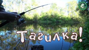 ТАГИЛКА, РЫБАЛКА НА ДОНКИ И ПОПЛАВОЧКУ! ТАКИХ РЫБИН ПРИЯТНО ВЫТАСКИВАТЬ НА БЕРЕГ, РЫБАЛКА НА УРАЛЕ!