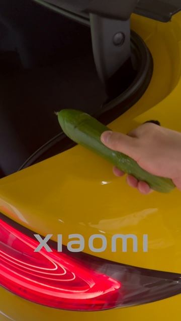 Безопасность багажников