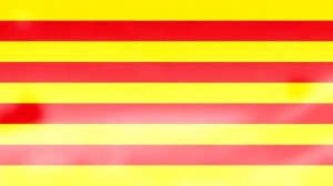 Смешарики песня Баламут и Обормот из 145 Серии Верь в меня ёжик на Каталонском.