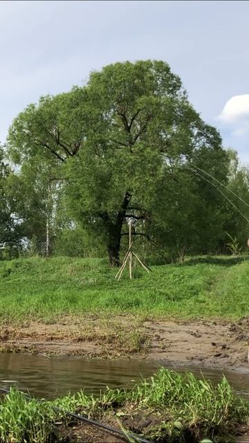 РЫБАЛКА | ПРОЕХАТЬ 120 КМ ЗА РЫБОЙ | ПРИКОЛ🎣🤣🔥#fishing #рыбалка #юмор #shorts #рыба #приколы #рыб