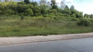 Мопеды сериал | Серия 1187