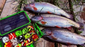 Форель клюет даже летом! Наш улов удивил всех Рыбалка на спиннинг