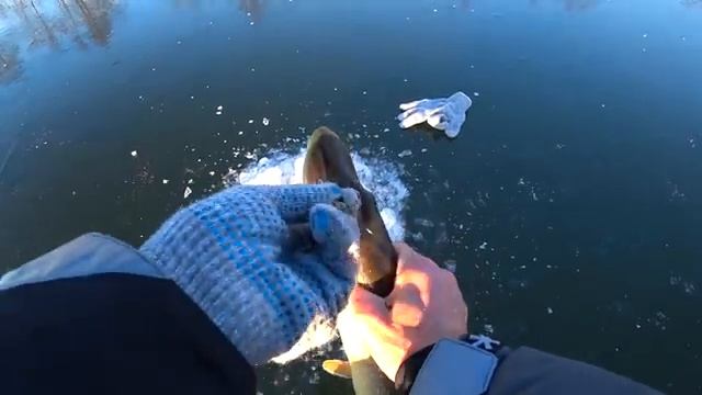 Рыбалка зимой смотреть онлайн