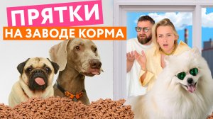 ИГРАЕМ В ПРЯТКИ на огромном заводе корма 🦴 Оскар и Джони ПОТЕРЯЛИСЬ?!