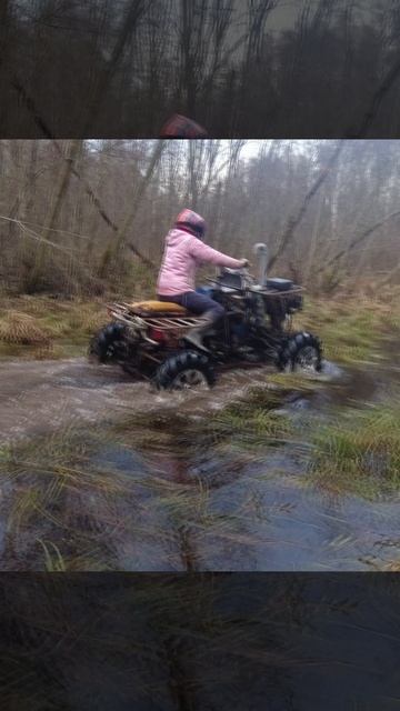 Самодельный квадроцикл в болоте №204в смотреть онлайн