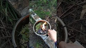 ЧИСТКА ОТ КОЖНЫХ ЗАБОЛЕВАНИЙ