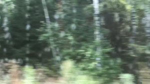 Мопеды сериал | Серия 1234