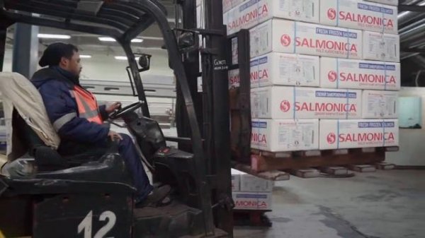 Мастера_большой_рыбалки_https___www.youtube.com_watch_v=jolestmhnuk&list=tlggb