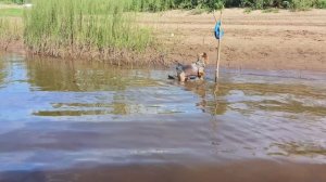 Проводили гостей ,на реку ,опять машина сломалась .