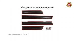Молдинги на двери широкие Renault Sandero Stepway 2009-2013 (russ-artel.ru)