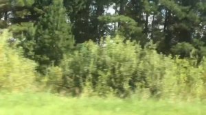 Мопеды сериал | Серия 1207