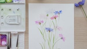 Как нарисовать васильки акварелью? / Акварельная иллюстрация