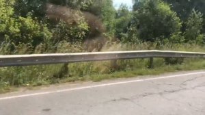 Мопеды сериал | Серия 1172