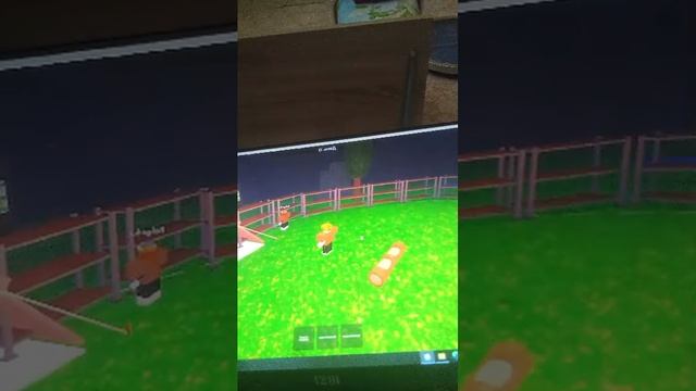 99 ночей в лесу