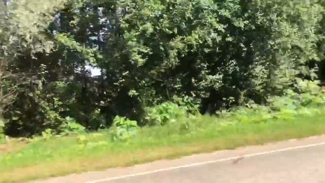 Мопеды сериал | Серия 1274