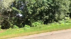 Мопеды сериал | Серия 1274