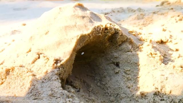 Мой детский сад для детей – Игры в песке на улице – Куклы пупсы Беби Бон смотреть онлайн