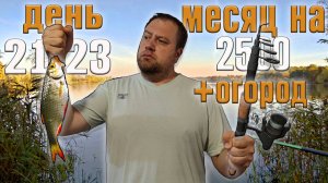 Месяц 2500 рублей на еду + огород. День 21-23.