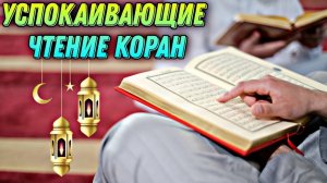 Очень красивое чтение Корана 🎙️❤️😴