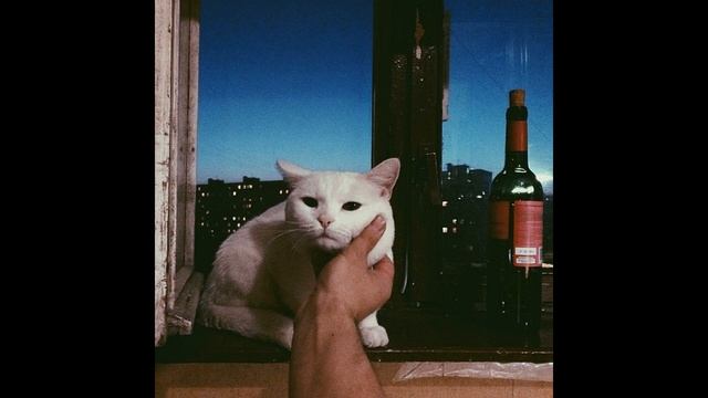 FREE TYPE BEAT (METOX/УННВ/ЦИНК УРОДОВ) смотреть онлайн