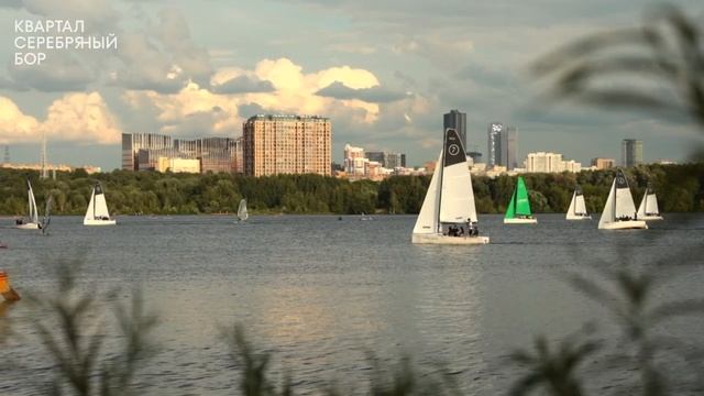 Квартал Серебряный Бор – шелест вековых сосен и богатая природа вблизи мегаполиса смотреть онлайн