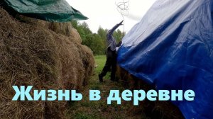 Вот уже и август! Сено, стройка, индюки, деревенские будни!