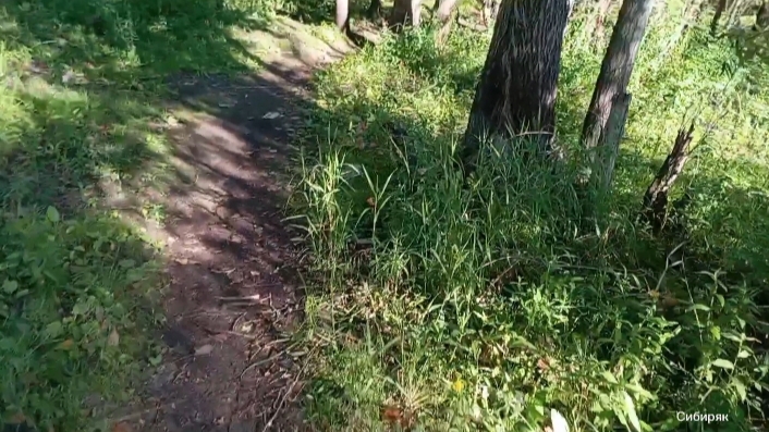 Рыбалка после недельных дождей в Сибири смотреть онлайн