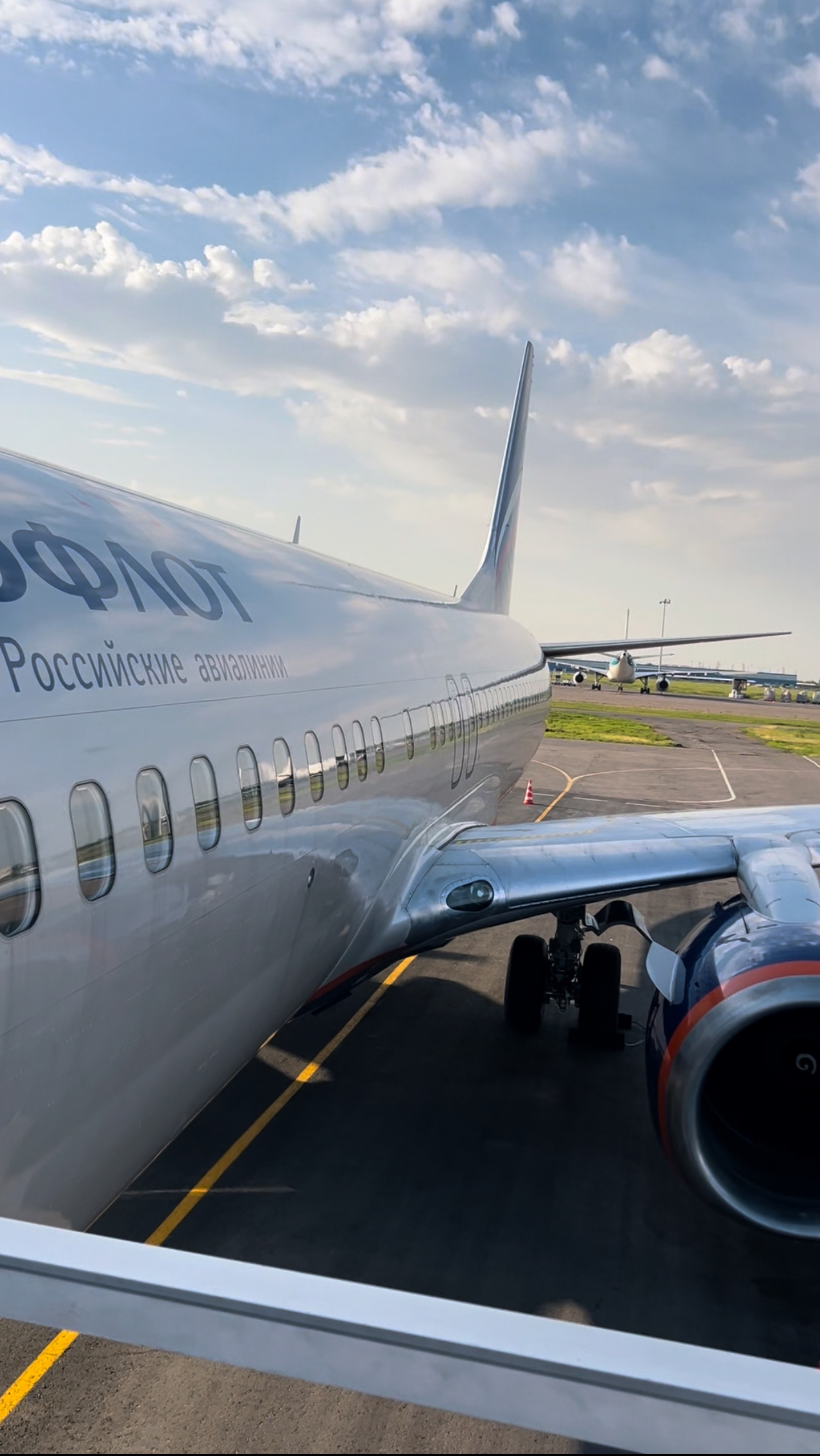 Чартерка или регулярка? Что выбрать ?