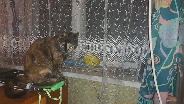 3940 кГц Русское Пиратское Радио 02.08.2025 (часть 2)