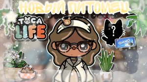 ~Новый питомец🥹🐾 История Дуси☕ _ Capy Toca _ Тока бока _ Toca boca