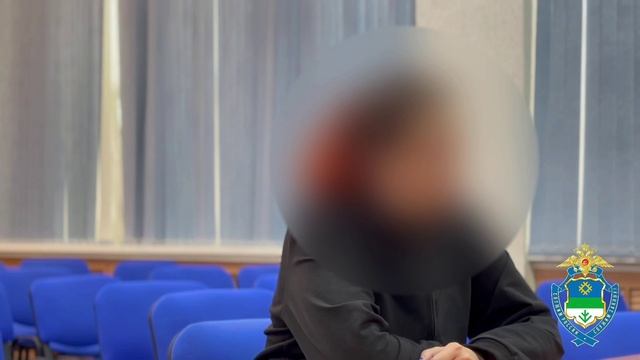 Жительница Сыктывкара лишилась 800 тысяч рублей, желая быстро заработать на маркетплейсе смотреть онлайн