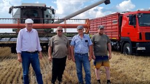 В закромах зерно нового урожая