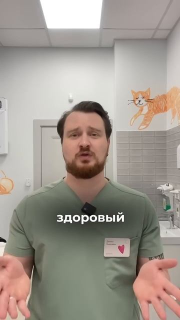 Даниил Янкелевич