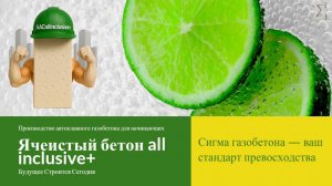 Производство автоклавного газобетона на примере Сигма Про Линии Ytong