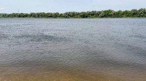 Берег Оки Каширский район поселок Большое Руново