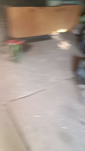 имена котиков.mp4