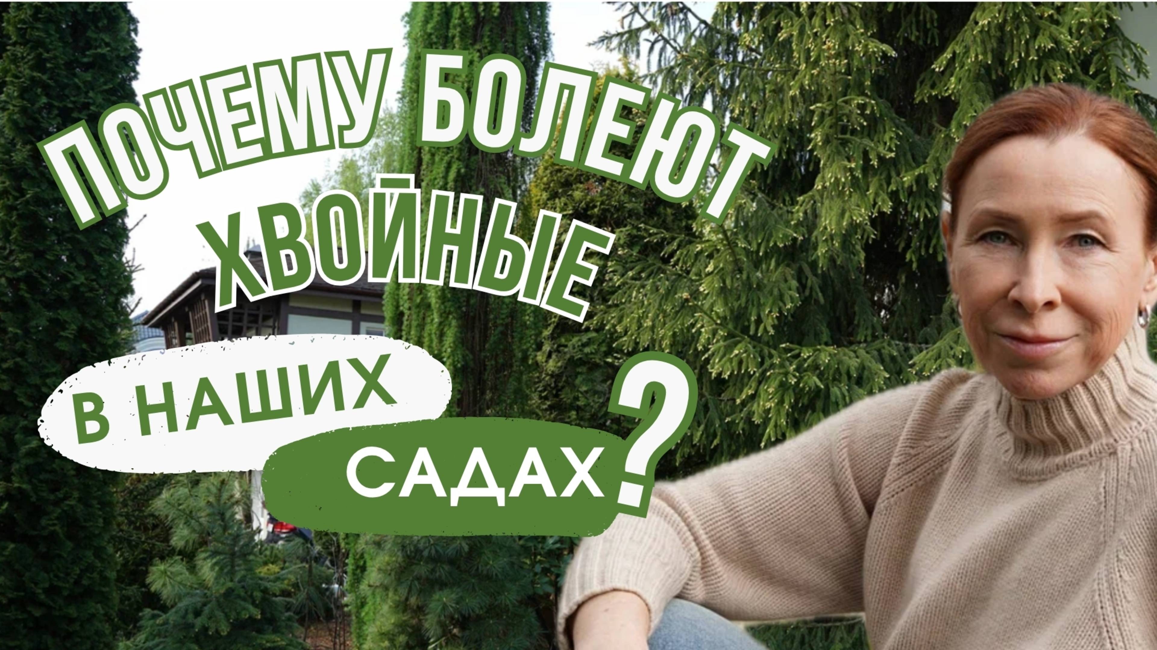 ПОЧЕМУ БОЛЕЮТ ХВОЙНЫЕ В НАШИХ САДАХ! смотреть онлайн