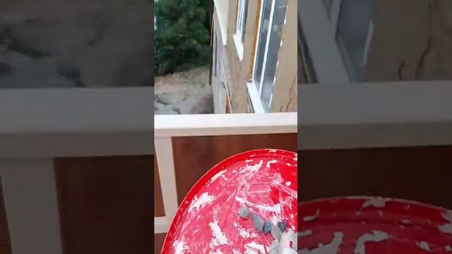 детский канал смотреть онлайн