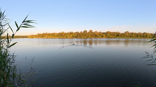 Ищу место для рыбалки. Измеряю глубину Северского Донца в Диченске и Калитвенской.