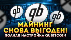 Майнинг на видеокартах снова выгоден! Настройка майнинга Qubitcoin (QTC) для Hive OS. Майнинг 2025