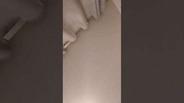 стрим на 10 подписчиков